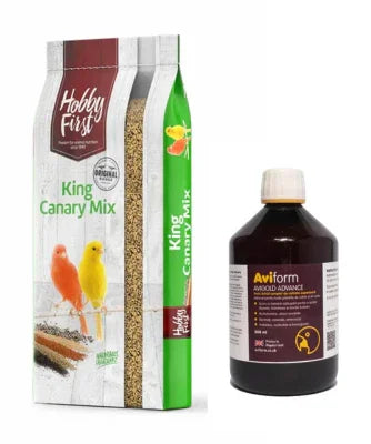 Pachet reproductie canari 