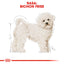 Royal Canin Bichon Frise Adult hrana uscata caine