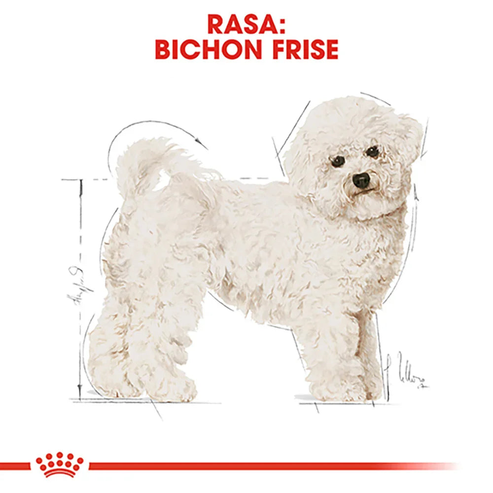 Illustration of Bichon Frise dog with curly white fur and black eyes, standing profile view