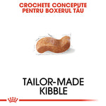 Tailor-made kibble for Boxers with unique curved shape on white background