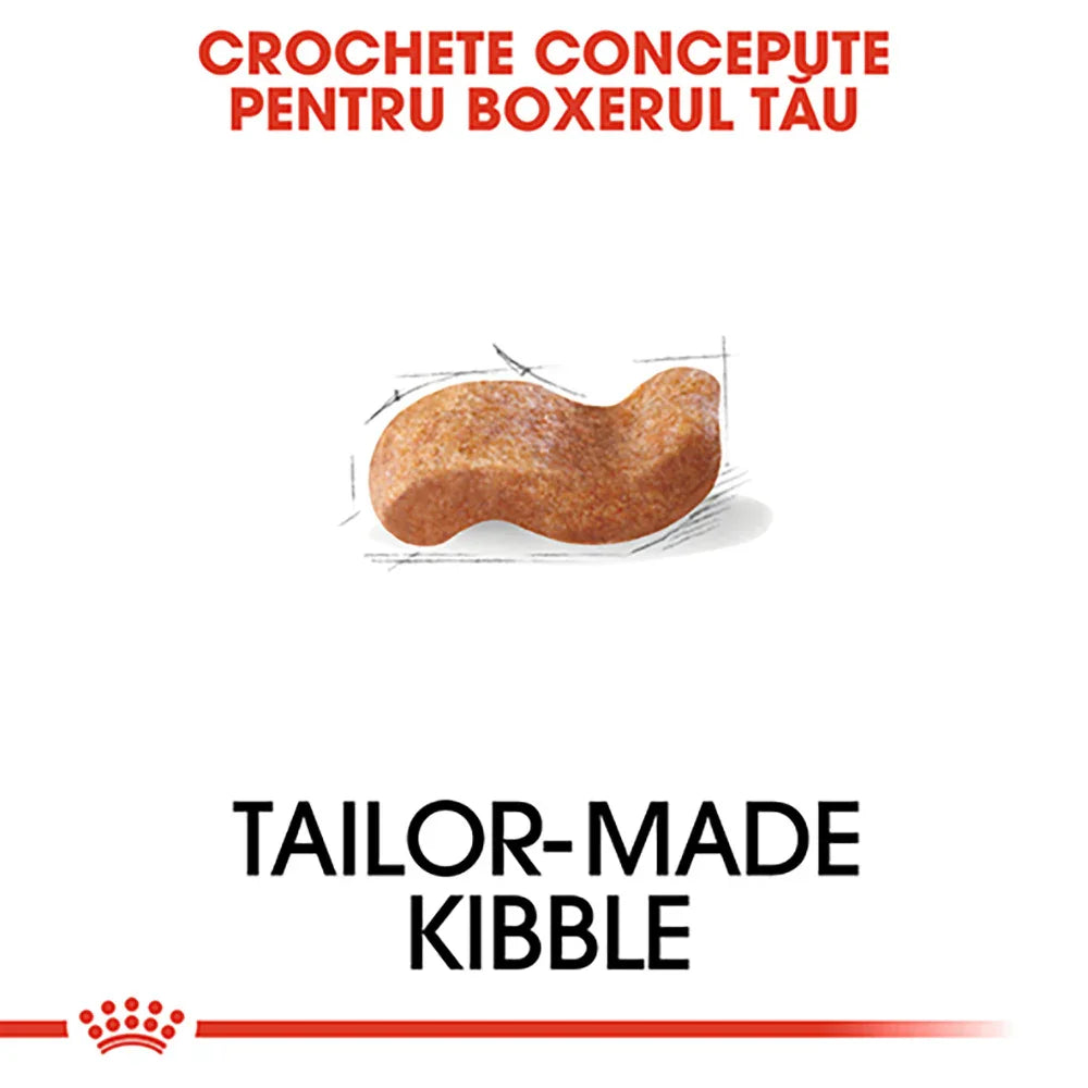 Tailor-made kibble for Boxers with unique curved shape on white background