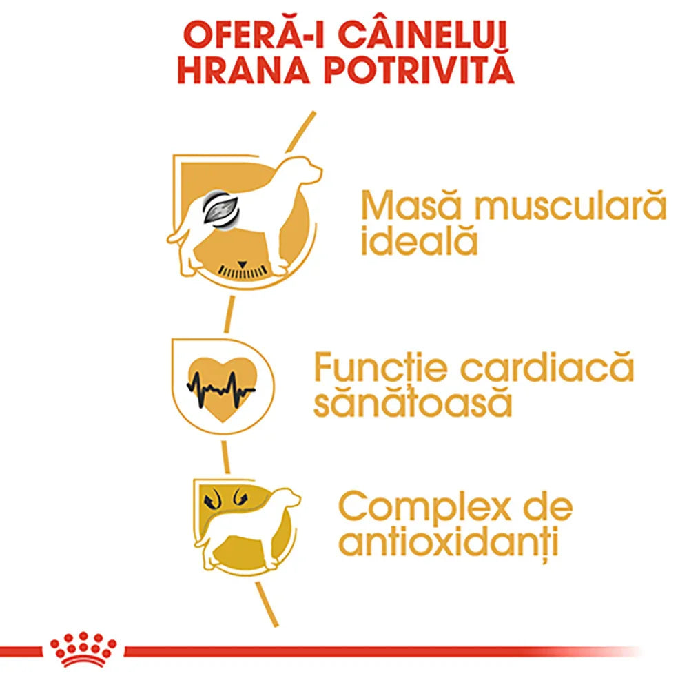 Romanian dog food benefits infographic showing ideal muscle mass, healthy cardiac function, and antioxidant complex