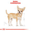 Royal Canin Chihuahua Adult hrana uscata caine, 1.5 kg