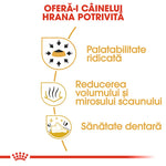 Romanian text highlighting dog food benefits: high palatability, reduced stool volume and odor, dental health