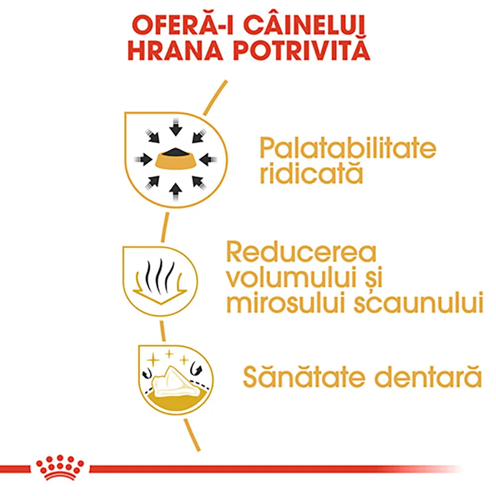 Romanian text highlighting dog food benefits: high palatability, reduced stool volume and odor, dental health