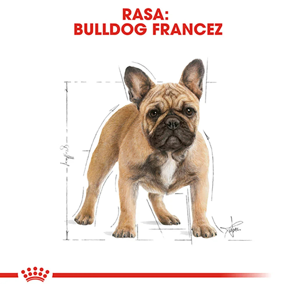 Illustration of a French Bulldog with tan coat and black face markings against a white background