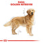 Royal Canin Golden Retriever Adult hrana uscata caine
