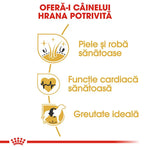 Romanian dog food benefits infographic highlighting healthy skin and coat, heart function, and ideal weight