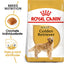 Royal Canin Golden Retriever Adult hrana uscata caine