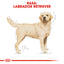 Royal Canin Labrador Adult hrana uscata caine