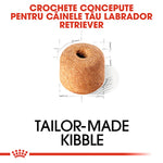 Tailor-made kibble designed for Labrador Retriever dogs with customized size and shape