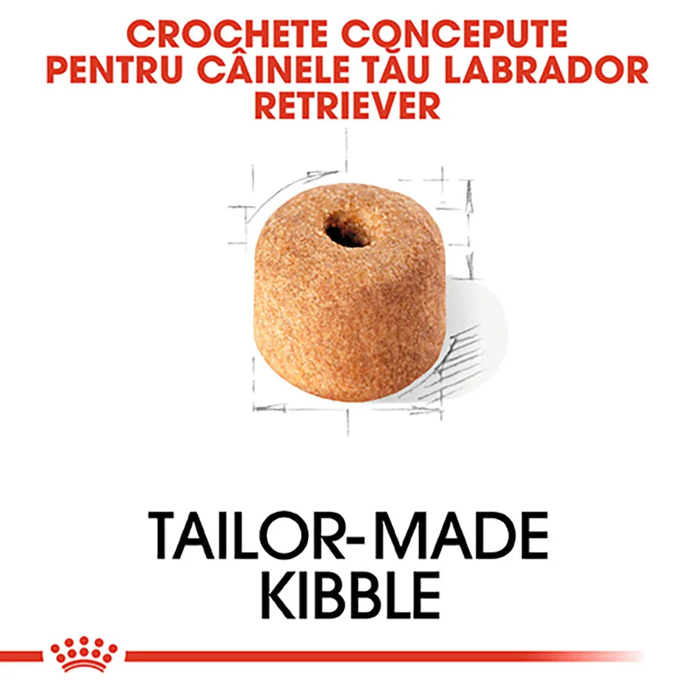 Tailor-made kibble designed for Labrador Retriever dogs with customized size and shape