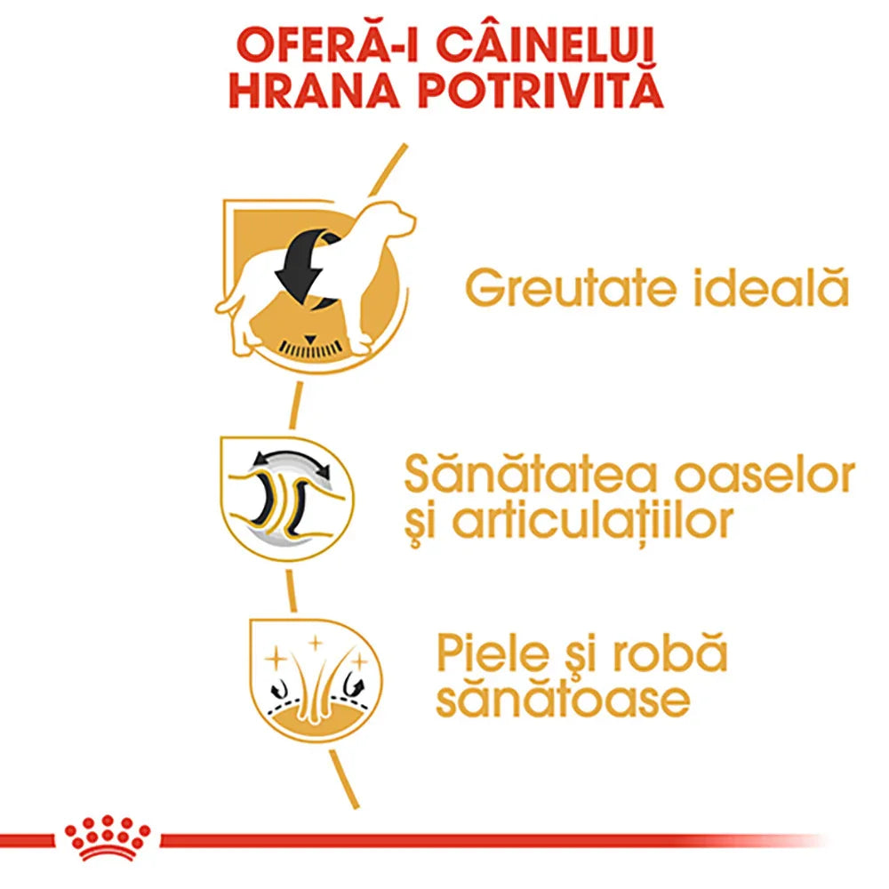 Infographic in Romanian promoting proper dog food for ideal weight, joint health, and healthy skin and coat
