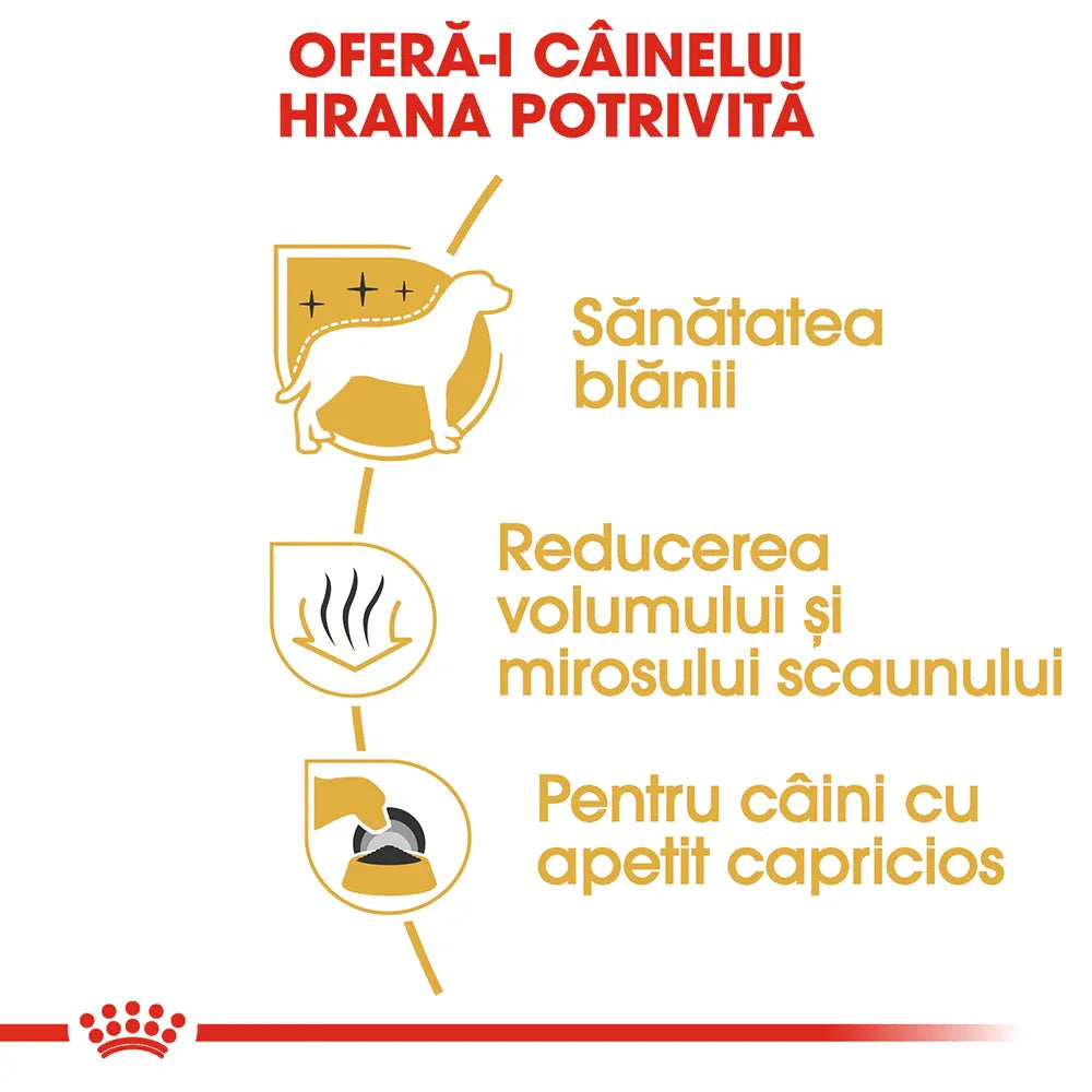 Romanian dog food benefits: coat health, stool volume and odor reduction, picky appetite support