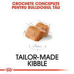 Tailor-made kibble for bulldogs, 1 cm size, specially designed dog food