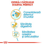 Romanian puppy health benefits infographic showing immune system, digestive health, and bone joint support icons