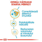 Romanian text about puppy food benefits: immune system support, high palatability, reduces stool volume and odor