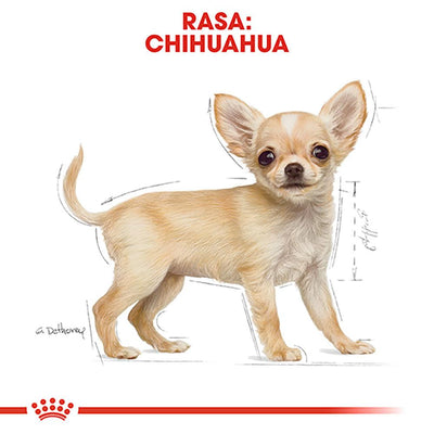 Royal Canin Chihuahua Puppy hrana uscata caine junior, 1.5 KG