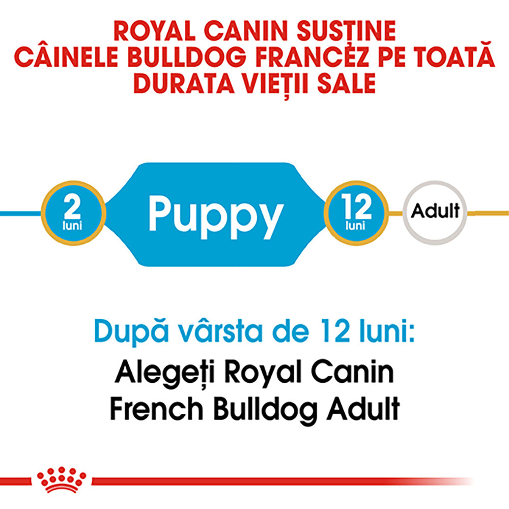 Royal Canin French Bulldog Puppy hrana uscata caine junior