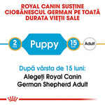 Royal Canin German Shepherd puppy food lifecycle infographic from 2 to 15 months then adult