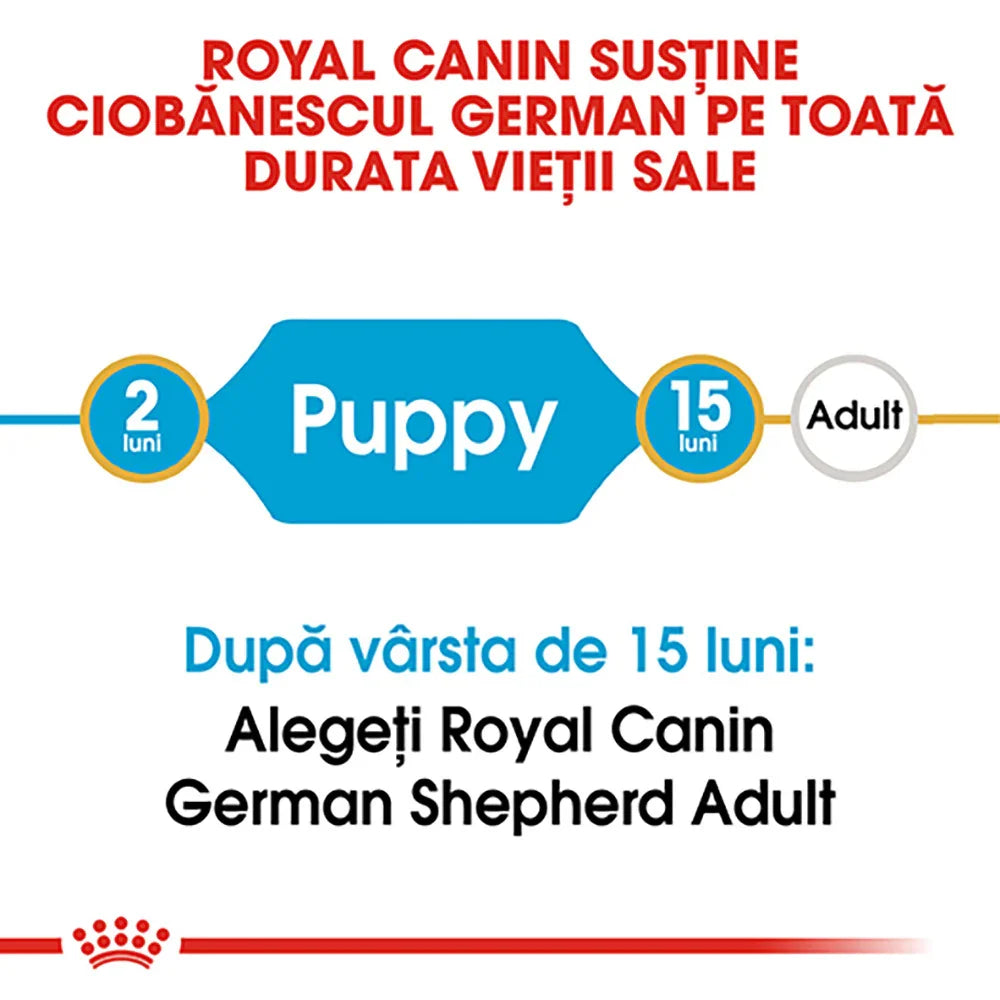 Royal Canin German Shepherd puppy food lifecycle infographic from 2 to 15 months then adult
