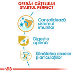 Romanian text promoting puppy health with immune system support, optimal digestion, and bone and joint care icons