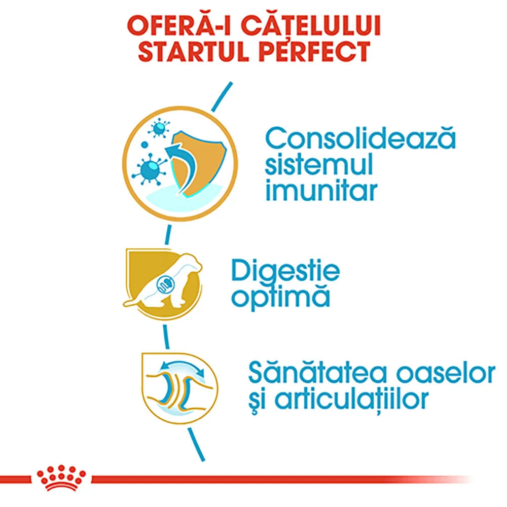 Romanian text promoting puppy health with immune system support, optimal digestion, and bone and joint care icons