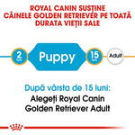 Royal Canin nutrition timeline for Golden Retriever puppies from 2 to 15 months before adult food