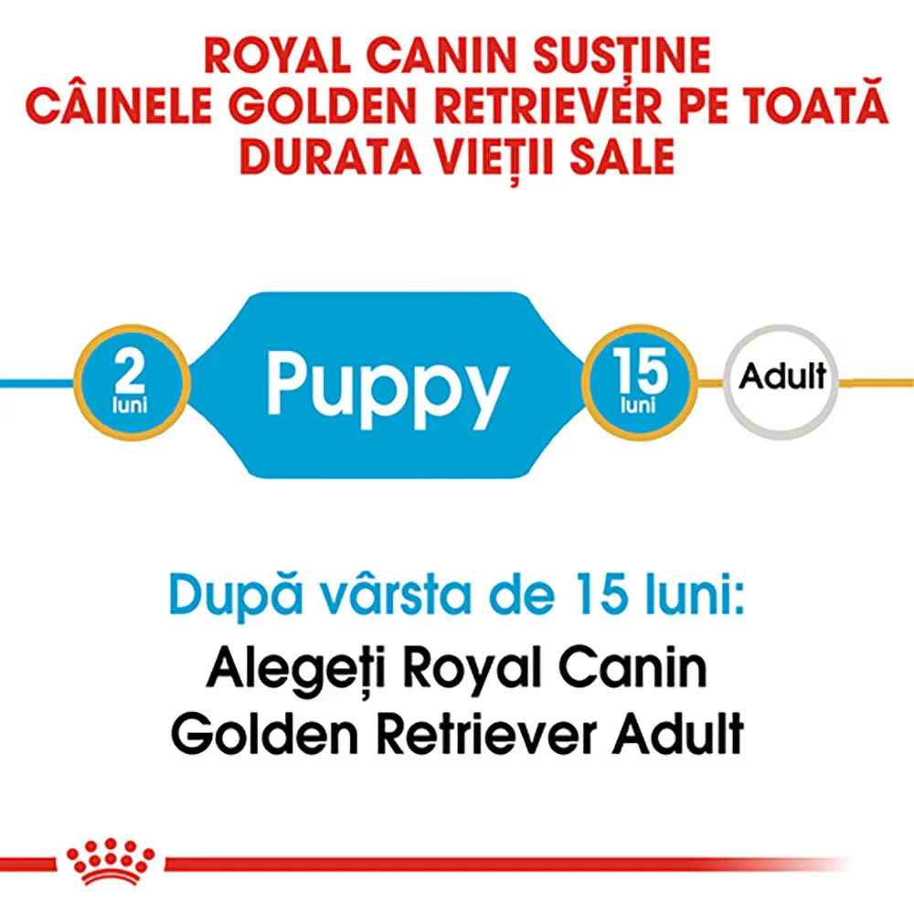 Royal Canin nutrition timeline for Golden Retriever puppies from 2 to 15 months before adult food