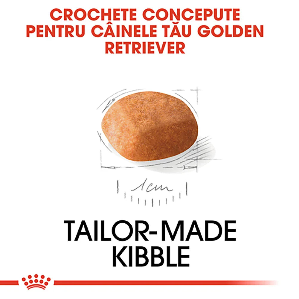 Tailor-made kibble designed for Golden Retriever dogs, shown with 1 cm size scale