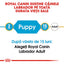 Royal Canin Labrador Puppy hrana uscata caine junior