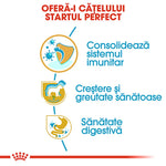 Romanian text infographic showing pet health benefits: immune system, healthy growth, and digestive health