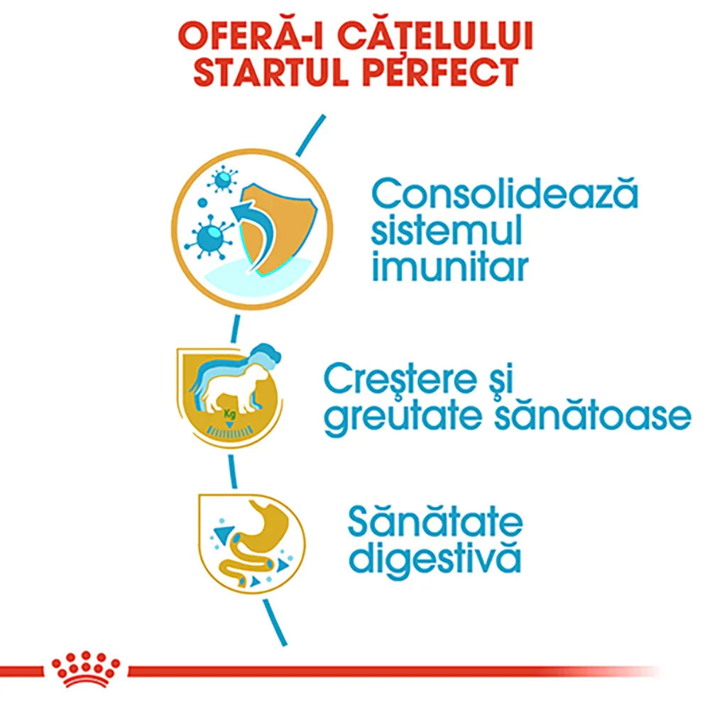 Romanian text infographic showing pet health benefits: immune system, healthy growth, and digestive health