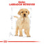 Royal Canin Labrador Puppy hrana uscata caine junior
