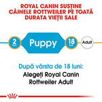 Royal Canin support chart for Rottweiler puppies aged 2 to 18 months, then adult food recommended
