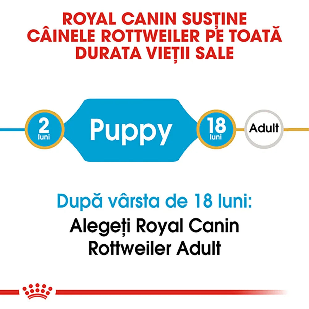 Royal Canin support chart for Rottweiler puppies aged 2 to 18 months, then adult food recommended