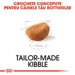 Tailor-made kibble designed for Rottweiler dogs, close-up of single brown kibble piece