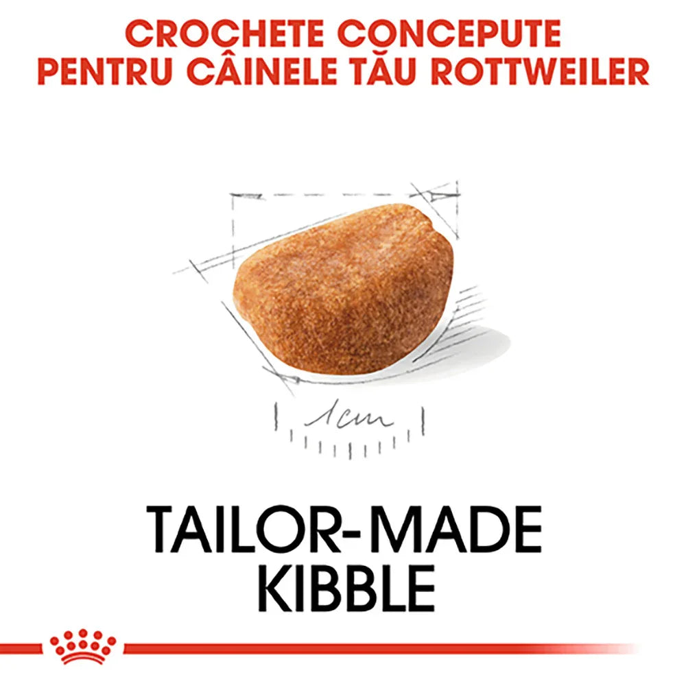 Tailor-made kibble designed for Rottweiler dogs, close-up of single brown kibble piece
