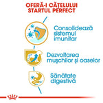 Infographic with Romanian text promoting puppy health: immune system, muscle and bone development, digestive health