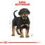 Royal Canin Rottweiler Puppy hrana uscata caine junior, 12 Kg