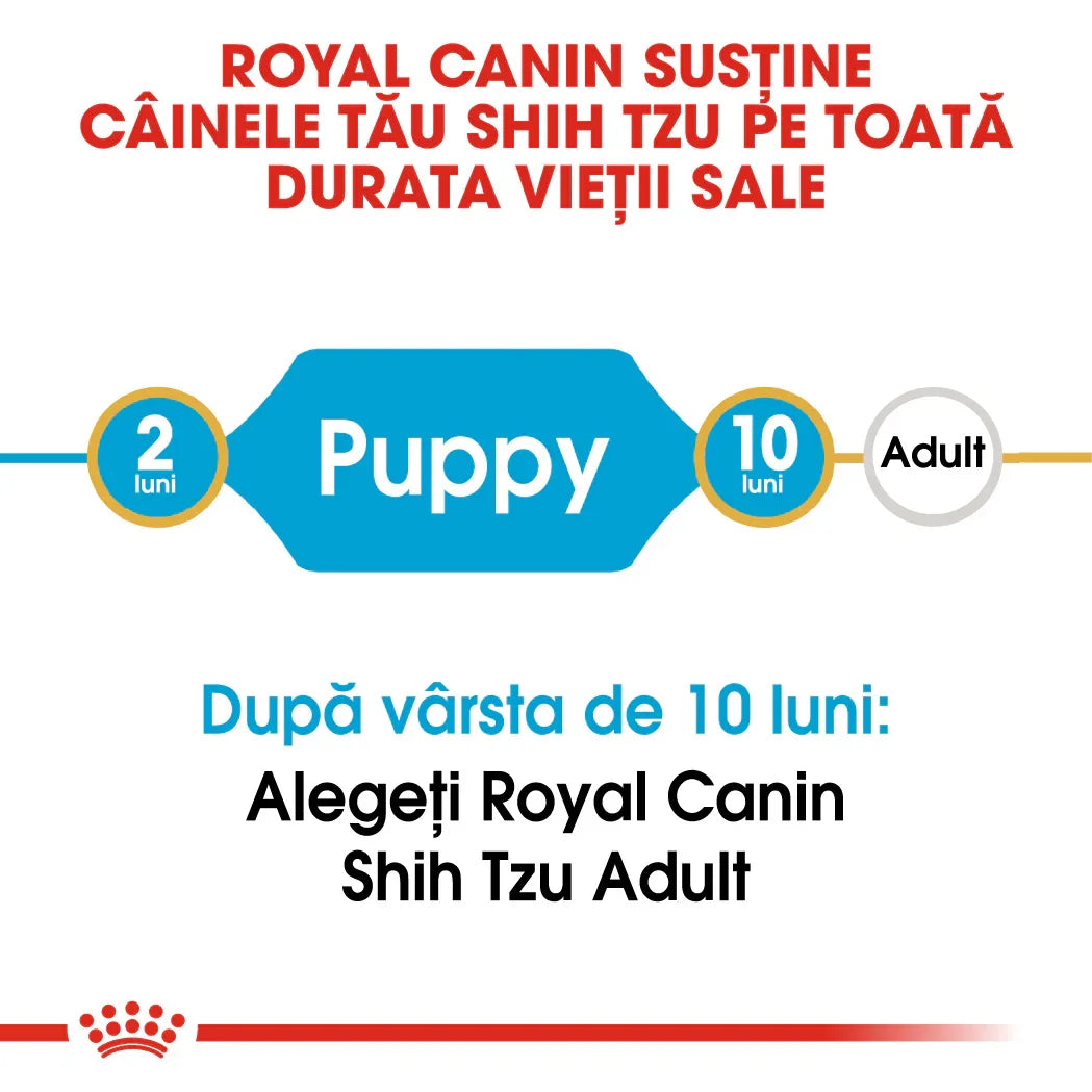Royal Canin Shih Tzu puppy feeding timeline from 2 to 10 months, then adult dog nutrition advice