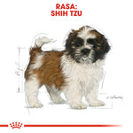Illustration of a Shih Tzu puppy with brown and white fur on a white background