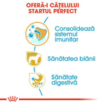 Romanian dog health infographic showing benefits for puppies: immune system, coat, and digestive health