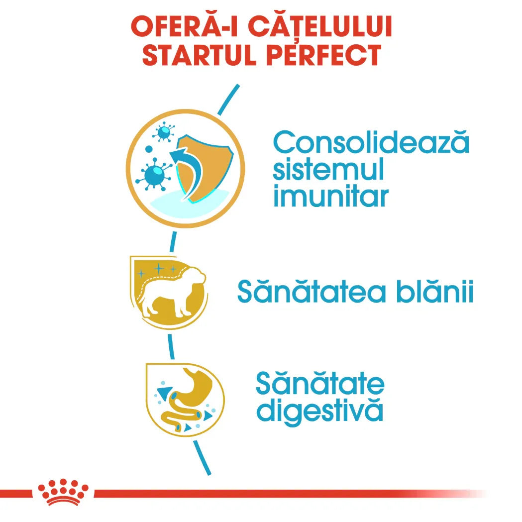 Romanian dog health infographic showing benefits for puppies: immune system, coat, and digestive health