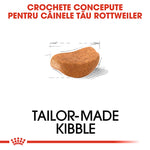 Tailor-made kibble designed for Rottweiler dogs with customized shape and size