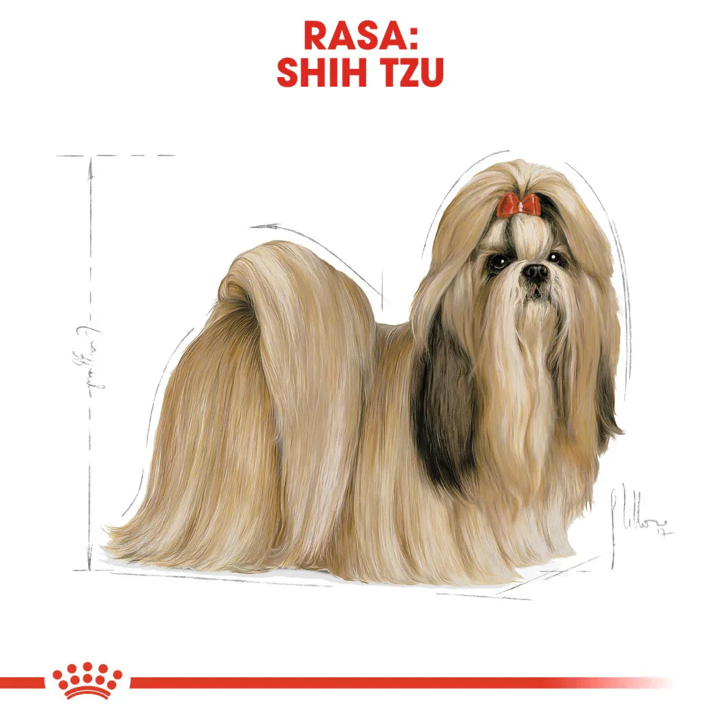 Illustration of a long-haired Shih Tzu dog with a red bow on its head on white background