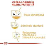 Royal Canin dog food benefits infographic in Romanian: healthy skin, dental health, reduced stool volume and odor