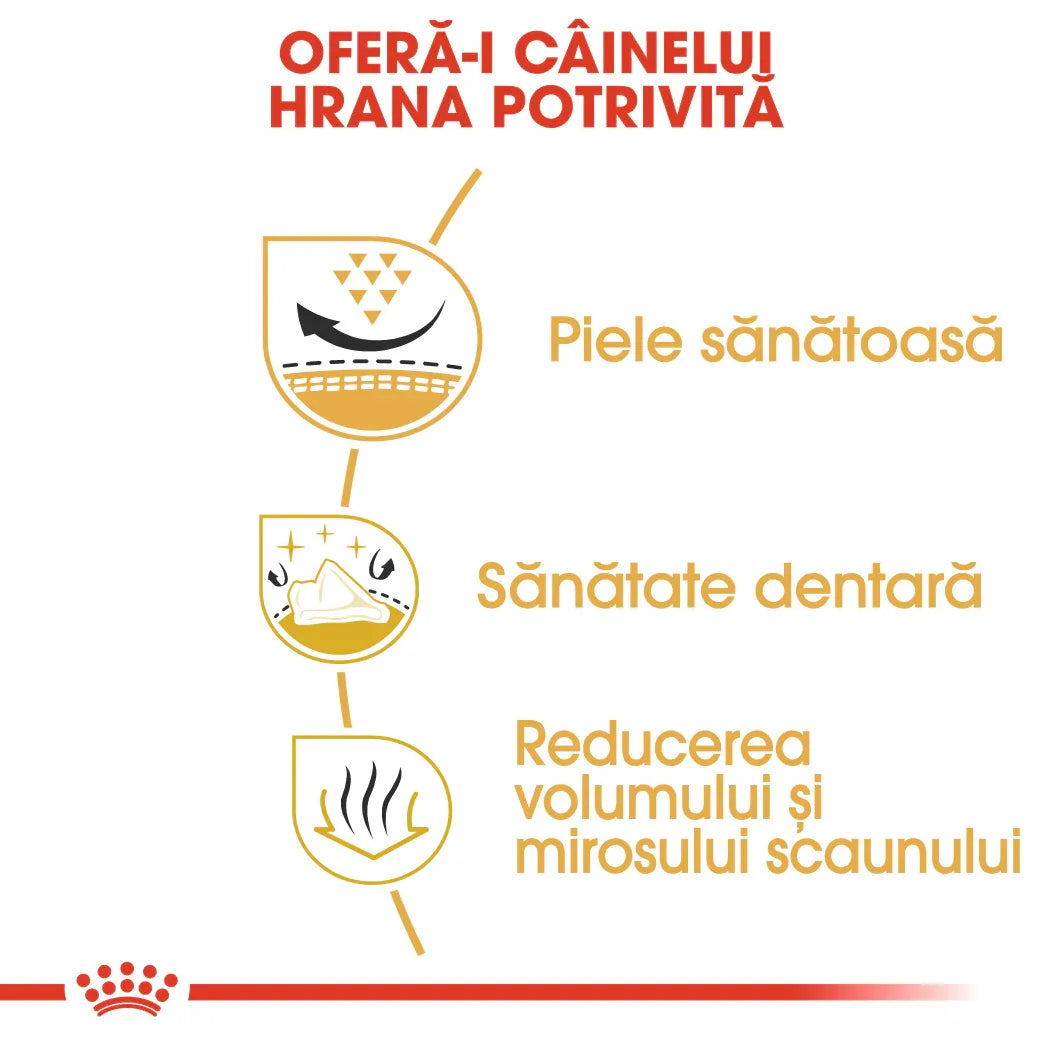 Royal Canin dog food benefits infographic in Romanian: healthy skin, dental health, reduced stool volume and odor