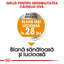 Royal Canin Mini Coat Care Adult hrana uscata caine, blana sanatoasa si lucioasa