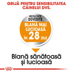 Romanian pet care label claiming shiny coat in 28 days with proven results for sensitive dogs